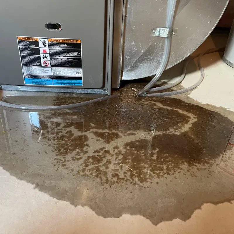 Appliance Leak Cleanup in Indianola, MS